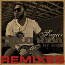 Flo Rida - Sugar (Remixes) - Mp3 Digital Album Download