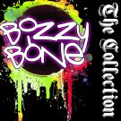 Bizzy Bone - The Collection - Mp3 Digital Album Download