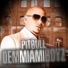 Pitbull - Dem Miami Boyz - Mp3 Digital Album Download