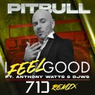 Pitbull - I Feel Good (71 Digits Remix) - Mp3 Digital Album Download
