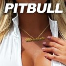 Pitbull - Mamasota (Deluxe) - Mp3 Digital Album Download