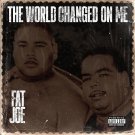 Fat Joe - The World Changed on Me - Mp3 Digital Album Download Fat Joe - The World Changed on Me - Mp3 Digital Album Download