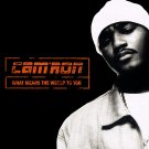 Cam'ron - What Means the World to You - Mp3 Digital Album Download Cam'ron - What Means the World to You - Mp3 Digital Album Download