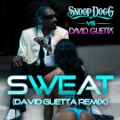 Snoop Dogg - Sweat/Wet - Mp3 Digital Album Download Snoop Dogg - Sweat/Wet - Mp3 Digital Album Download