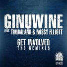 Ginuwine - Get Involved [The Remixes] - Mp3 Digital Album Download