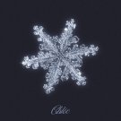 Chlöe - Merry Christmas Baby / Winter Wonderland (Single) - Mp3 Digital Single Download Chlöe - Merry Christmas Baby / Winter Wonderland (Single) - Mp3 Digital Single Download