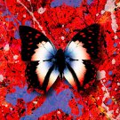 Ed Sheeran - 2step (The Remixes) - Mp3 Download