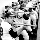 1961 Los Angeles Angels In Their Dugout Photo