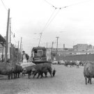 Intersection of Morgan Street and Pershing Road, Chicago 1946 Photo