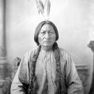 Hunkpapa Lakota Holy Man and Leader Sitting Bull 1883 Photo