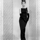 Actress Audrey Hepburn Photo 2