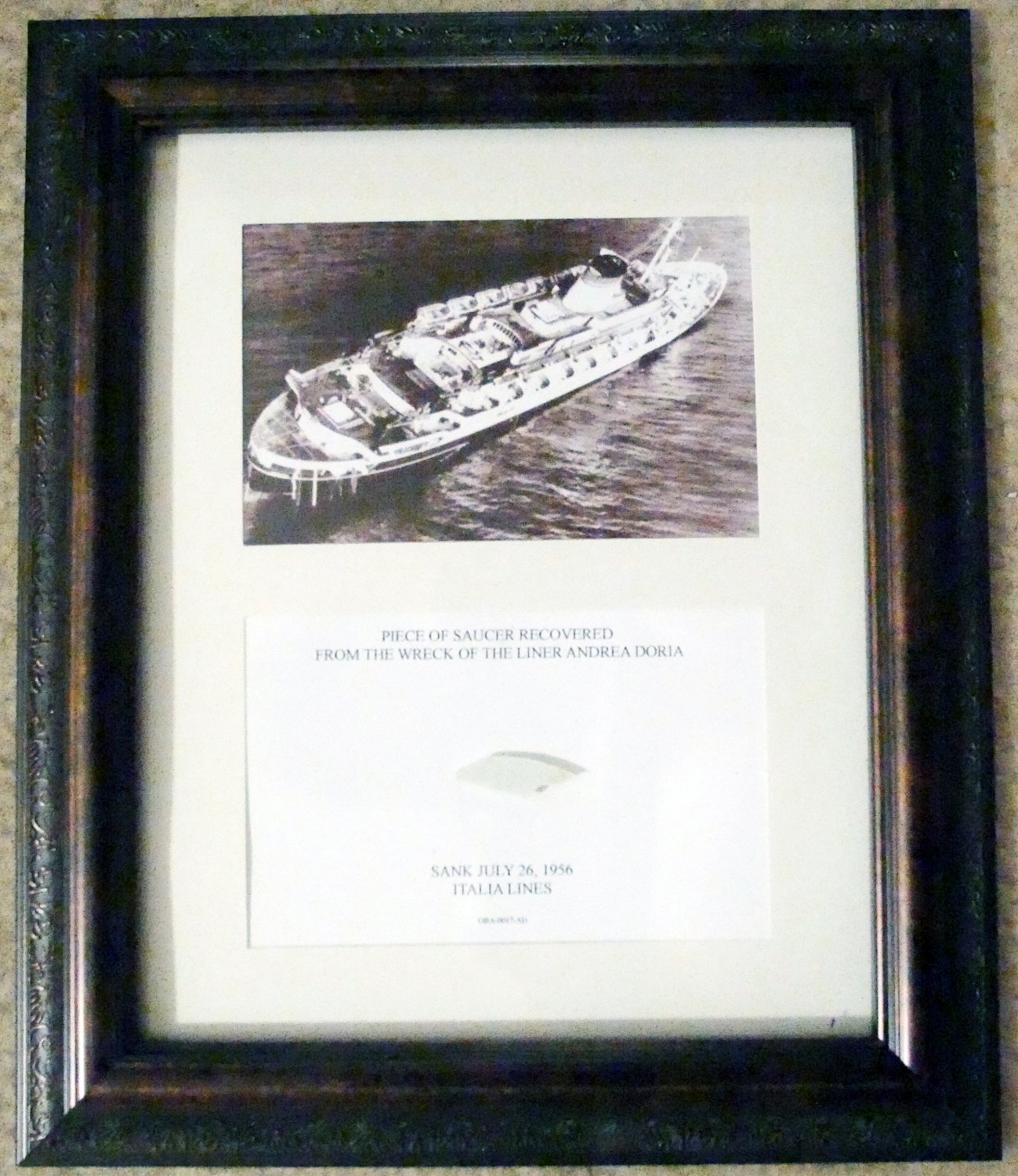 Andrea Doria Dish Display