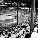 Kansas City Blues at Blues Stadium 1951 Photo