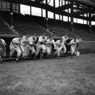 St. Louis Cardinals Players 1942 Photo