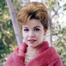 Actress and Mouseketeer Annette Funicello Photo 3