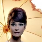 Actress Audrey Hepburn Photo 10