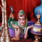 Actress Barbara Eden Photo