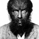 Actor Bela Lugosi Photo 5 in Island of Lost Souls