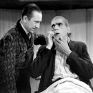 Bela Lugosi and Boris Karloff in The Raven Photo