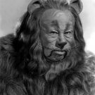Actor Bert Lahr in The Wizard of Oz Photo
