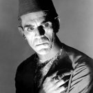 Actor Boris Karloff Photo 10 The Mummy