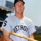 Detroit Tigers Al Kaline Photo