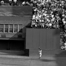 1954 World Series New York Giants Willie Mayes Makes The Catch Photo