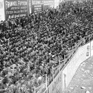 Crowd at New York Giants Polo Grounds 1911 Photo
