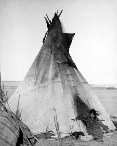 Oglala Girl Outside Tipi Pine Ridge Reservation 1891 Photo
