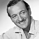 Actor David Niven Photo