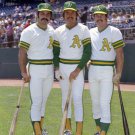 Oakland A's Sal Bando, Billy Conigliaro, and Gene Tenace 1973 Photo