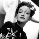 Actress Dorothy Lamour Photo 2