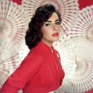 Actress Elizabeth Taylor Photo