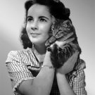 Actress Elizabeth Taylor Photo 3