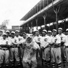 1908 Chicago Cubs Team With Mascot Photo