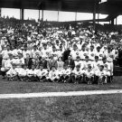 1929 Chicago Cubs Team Photo