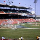 Cincinnati Reds Batting Practice at Crosley Field 1969 Photo