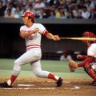 Cincinnati Reds Johnny Bench Photo