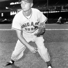Chicago Cubs Don Elston Photo