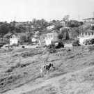 Chavez Ravine, Los Angeles 1950 Photo