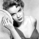Actress Ann Francis Photo 2