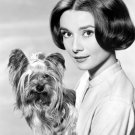 Actress Audrey Hepburn Photo 20