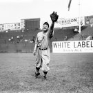 Chicago Cubs Ginger Beaumont 1910 Photo