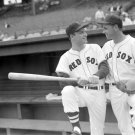 Boston Red Sox Jerry Casale and Sammy White 1959 Photo