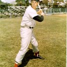 Boston Red Sox Ted Williams Photo