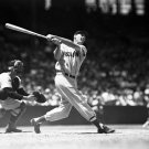 Boston Red Sox Ted Williams Photo 3