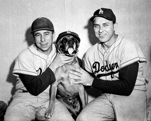 Los Angeles Dodgers Pee Wee Reese and Gil Hodges With A Dog Photo