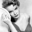 Actress Anne Francis Photo 2