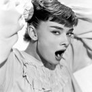 Actress Audrey Hepburn Photo 27