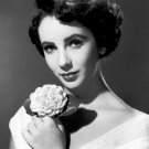 Actress Elizabeth Taylor Photo 19